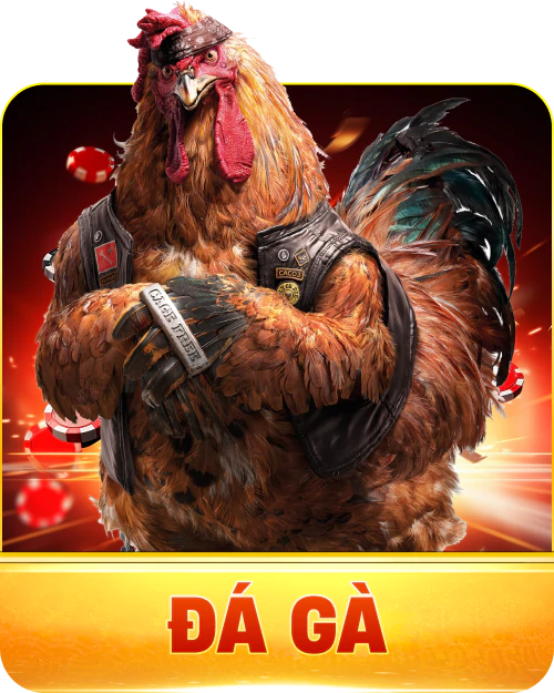 Đá gà