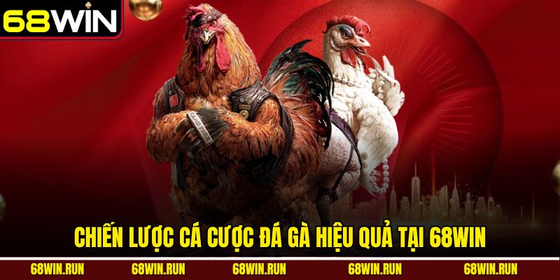 Chiến lược cá cược đá gà hiệu quả tại 68WIN
