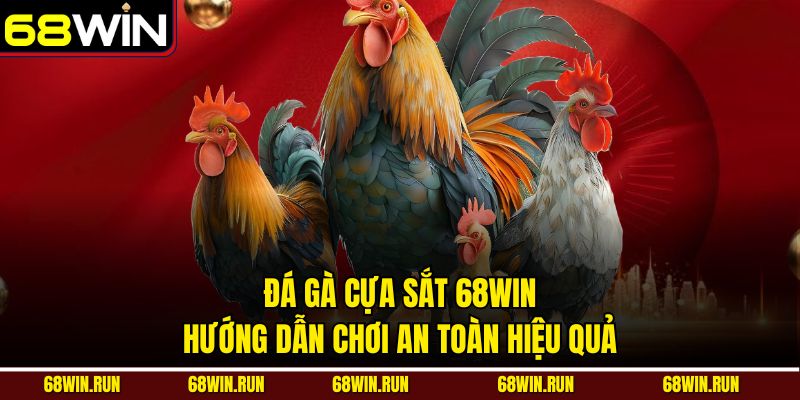 Đá Gà Cựa Sắt 68win – Hướng Dẫn Chơi An Toàn Hiệu Quả