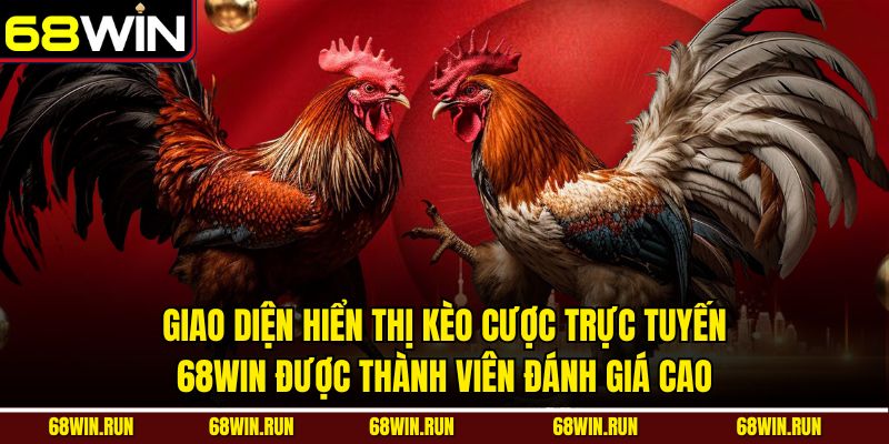 Giao diện hiển thị kèo cược trực tuyến 68WIN được thành viên đánh giá cao